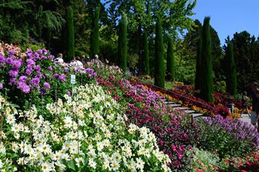 2020 09 03 Insel Mainau,_DSD_7071_b_488px